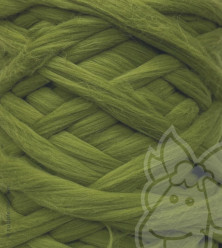European Merino Wool Tops (combed sliver) - GREEN SWAMP