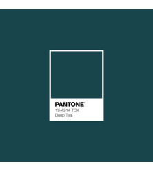 European Merino Wool Tops (combed sliver) - Deep Teal European Merino Wool Tops (combed sliver) - Deep Teal