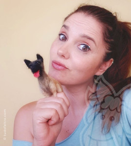 Pacotes de Aulas privadas de Feltragem Artesanal